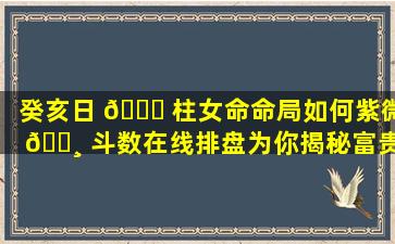 癸亥日 🐋 柱女命命局如何紫微 🕸 斗数在线排盘为你揭秘富贵运